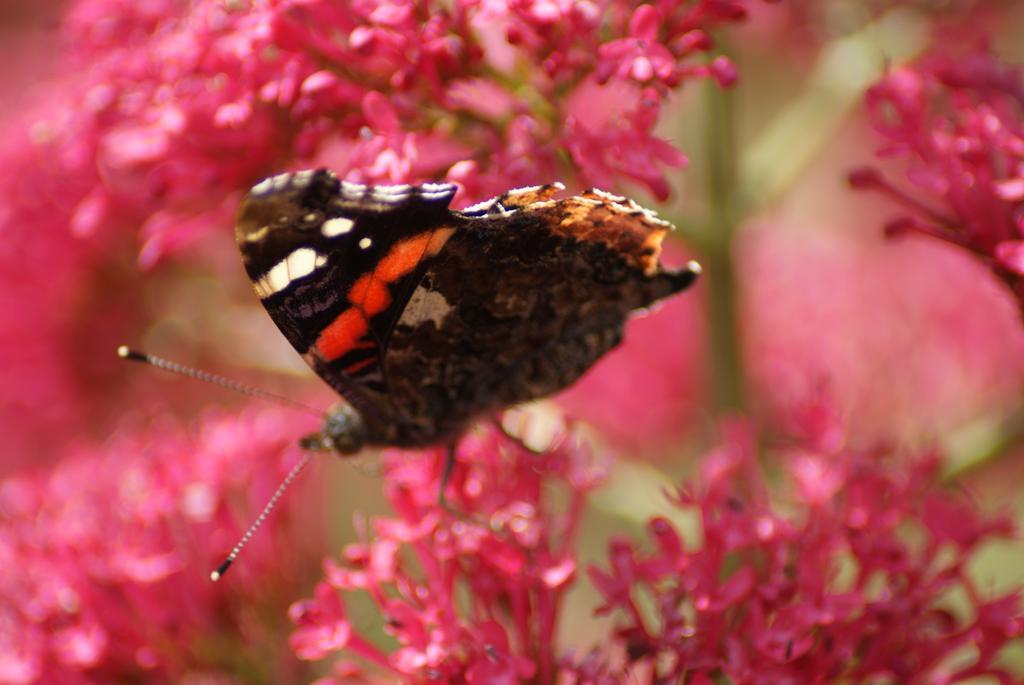 Melbourne Place Wolsingham Exteriér fotografie